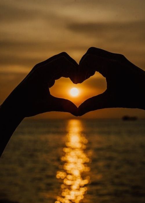 two hands heart 500 X 800